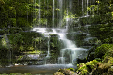 Scaleber Force Wasserfall, in der Nähe von Settle, Yorkshire Dales National Park, Yorkshire, England, Vereinigtes Königreich, Europa - RHPLF31869