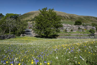 Das Dorf Thwaite vor dem Hintergrund des Kisdon Hill im Sommer, Swaledale, Yorkshire Dales National Park, Yorkshire, England, Vereinigtes Königreich, Europa - RHPLF31870