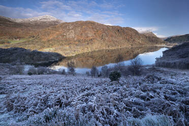 Frostbedeckte Bracken über Llyn Dinas im Winter, in der Nähe von Beddgelert, Snowdonia National Park (Eryri), Nordwales, Vereinigtes Königreich, Europa - RHPLF31876