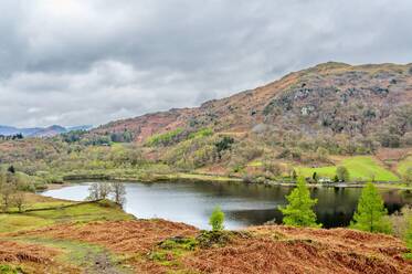 Rydal Water, 2 km lang und über 15 Meter tief, Lake District National Park, UNESCO-Weltkulturerbe, Cumbria, England, Vereinigtes Königreich, Europa - RHPLF31901