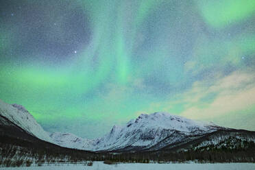 Die Nordlichter (Aurora Borealis) erhellen den Himmel in der Winternacht, Tromso, Norwegen, Skandinavien, Europa - RHPLF31964