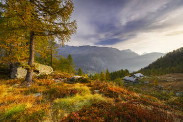 Alpines Biwak am Lagazzuolo See bei Sonnenaufgang im Herbst, Chiesa di Valmalenco, Sondrio, Lombardei, Italien, Europa - RHPLF31971