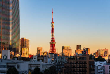 Beautiful sunset over the skyline of Tokyo with Toyko Tower, Tokyo, Honshu, Japan, Asia - RHPLF31980