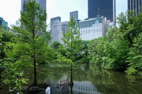 Blick auf das Stadtbild von Manhattan von The Pond aus gesehen, einem der sieben Gewässer im Central Park in der Nähe des Grand Army Plaza, gegenüber dem Central Park South vom Plaza Hotel, New York City, Vereinigte Staaten von Amerika, Nordamerika - RHPLF31992