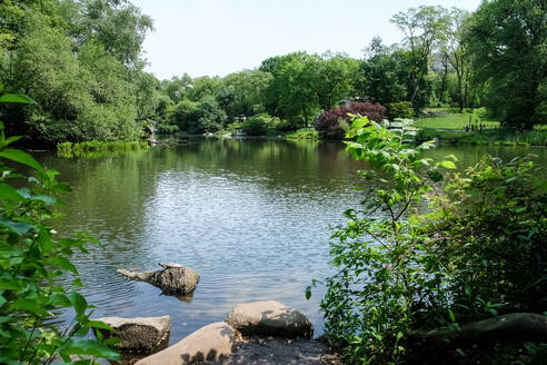 Blick auf The Pond, eines von sieben Gewässern im Central Park in der Nähe des Grand Army Plaza, gegenüber dem Central Park South vom Plaza Hotel, New York City, Vereinigte Staaten von Amerika, Nordamerika - RHPLF31996