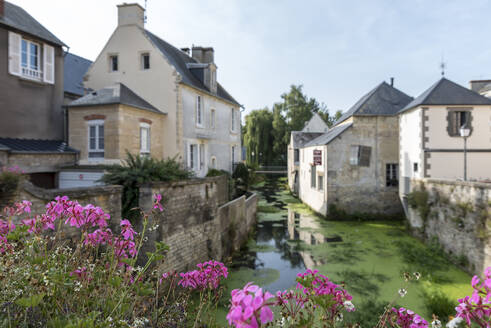 Der Fluss Aure umrahmt von leuchtend rosa Blumen an einem Sommertag, Bayeux, Normandie, Frankreich, Europa - RHPLF32019