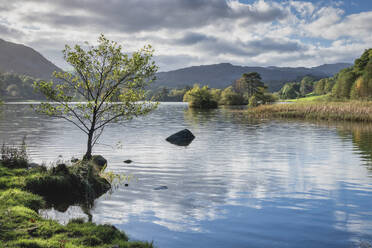 Frühherbst, am Rydal Water im Lake District National Park, UNESCO-Weltkulturerbe, Cumbria, England, Vereinigtes Königreich, Europa - RHPLF32161