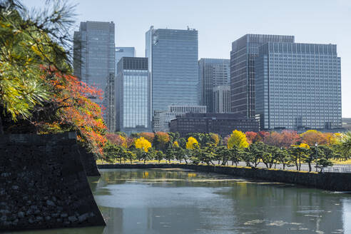 Tokio Wolkenkratzer spiegeln sich im Graben des Kaiserpalastes mit vielen herbstlich gefärbten Bäumen, Tokio, Honshu, Japan, Asien - RHPLF32193