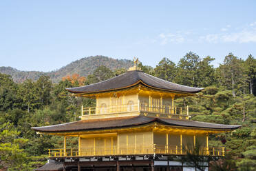 Kinkaku-ji-Tempel des Goldenen Pavillons in Kyoto, UNESCO-Weltkulturerbe, Kyoto, Honshu, Japan, Asien - RHPLF32204