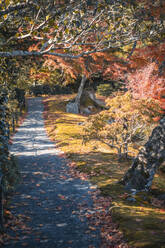 Kinkaku-ji Garten und See im Herbst, Kyoto, Honshu, Japan, Asien - RHPLF32207