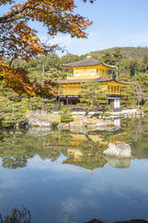 Kinkaku-ji-Tempel des Goldenen Pavillons, der sich in einem See spiegelt, UNESCO-Weltkulturerbe, Kyoto, Honshu, Japan, Asien - RHPLF32208