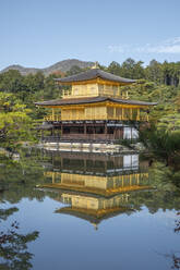 Der Tempel des Goldenen Pavillons Kinkaku-ji spiegelt sich im Herbst in einem Teich, UNESCO-Weltkulturerbe, Kyoto, Honshu, Japan, Asien - RHPLF32213