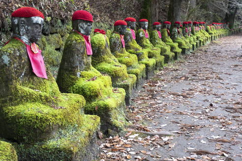 Narabi Jizo-Buddha-Statuen mit rotem Hut, bedeckt mit Moos in Nikko, Tochigi, Honshu, Japan, Asien - RHPLF32218