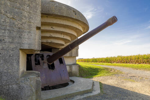 Die deutsche Artilleriebatterie in Longues-sur-Mer, Longues-sur-Mer, Normandie, Frankreich, Europa - RHPLF32237