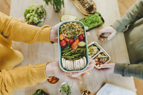 Hands of woman holding vegetarian food lunch box near man at table - YTF01686