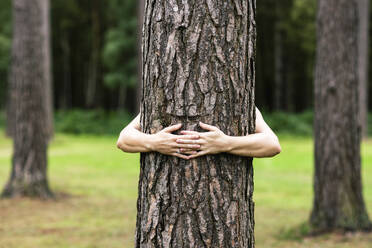 Hands of woman hugging tree in forest - WPEF08291