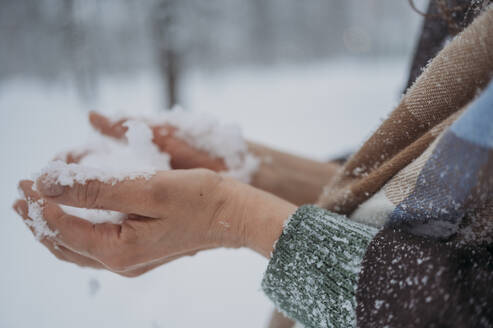 Hände einer Frau halten Schnee im Park - ANAF02714