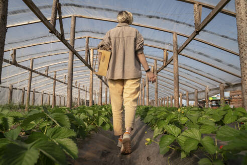 Farmer walking amidst plants in greenhouse - VPIF09266