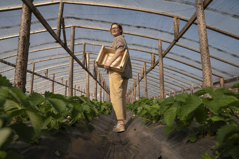 Smiling farmer looking over shoulder standing amidst plants in greenhouse - VPIF09267