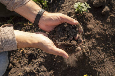 Landwirt sammelt Erde mit der Hand auf dem Hof - VPIF09284