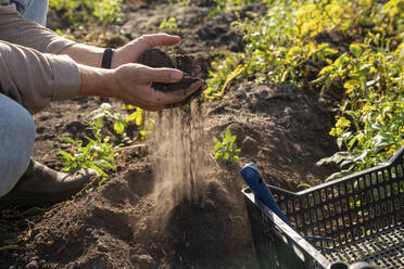 Farmer sieving soil through hands in farm - VPIF09285