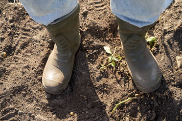 Farmer wearing rubber boots standing on soil in farm - VPIF09286