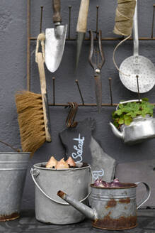 Various gardening tools hanging on wall - GISF01031