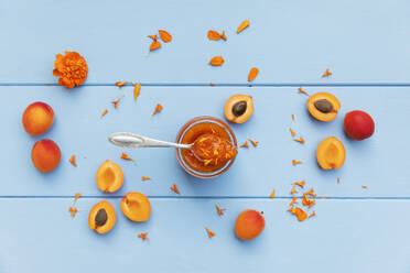 Homemade apricot jam with marigold petals and raw apricots on blue wood - GWF07983