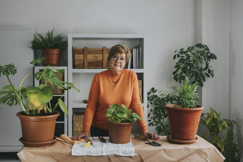 Ältere Frau mit verschiedenen Pflanzen auf dem Tisch zu Hause - DMGF01189