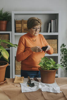 Ältere Frau, die mit ihrem Smartphone zu Hause ein Foto von einer Pothos-Pflanze anklickt - DMGF01196