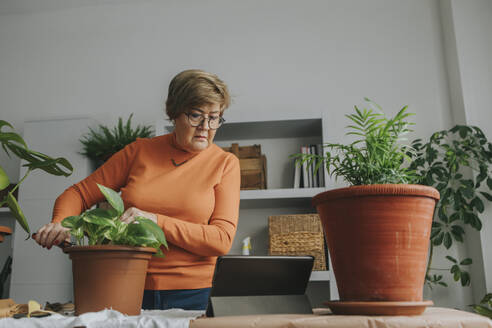 Ältere Frau sieht sich ein Tutorial an und macht Gartenarbeit zu Hause - DMGF01201