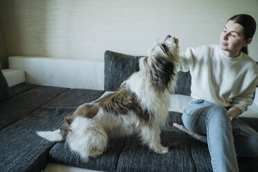 Frau sitzt mit Tibet Terrier auf dem Sofa zu Hause - OSF02379