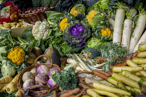 Variety of fresh organic vegetables - NGF00814