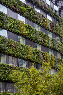 Residential building covered with green plants - NGF00818