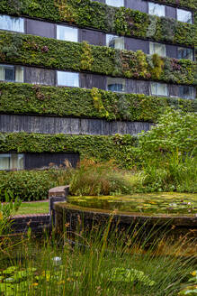 Green plants in garden near residential building - NGF00819