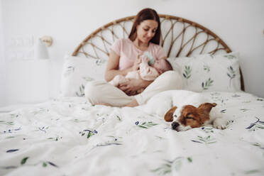 Haustier Hund ruht auf dem Bett mit Frau Fütterung Milch zu Baby-Mädchen im Hintergrund zu Hause - EBBF08415