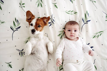 Niedliches kleines Mädchen auf dem Bett liegend mit Hund zu Hause - EBBF08421