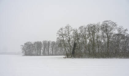 Niederlande, Limburg, Geleen, Windschutz auf schneebedecktem Feld - MKJF00023