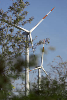 Wind farm turbines with trees in foreground - JATF01377