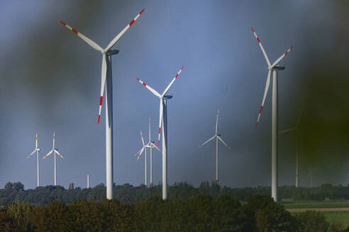 Wind farm turbines with trees in foreground - JATF01380