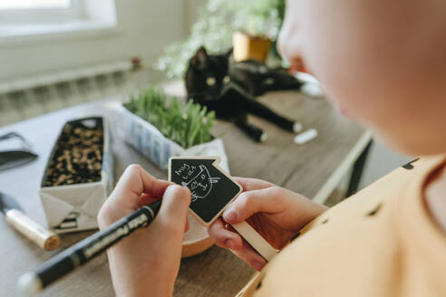 Girl drawing cat on placard at home - YTF01758