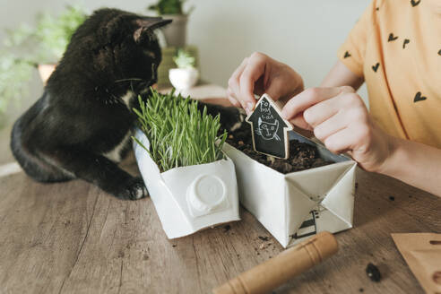 Girl putting placard on recycled milk carton at home - YTF01761