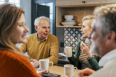 Friends talking to each other at table - PBTF00443