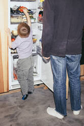 Father standing with curious son searching in refrigerator at home - MASF42547