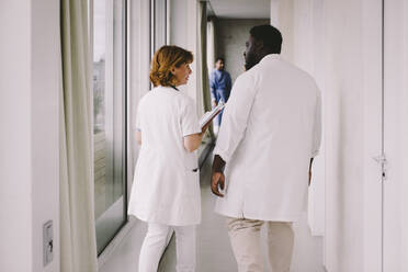 Leitende Ärztin im Gespräch mit einem männlichen Kollegen auf dem Flur eines Krankenhauses - MASF42591