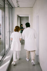 Rückansicht in voller Länge von einer älteren Ärztin, die mit einem männlichen Kollegen auf dem Flur eines Krankenhauses geht - MASF42617