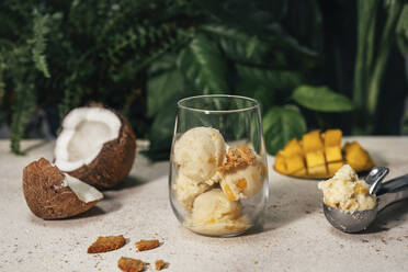 Mango-Kokosnuss-Eis im Glas bei der Servierkugel - TILF00069