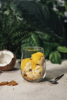 Refreshing ice cream with fruit sauce in glass - TILF00072