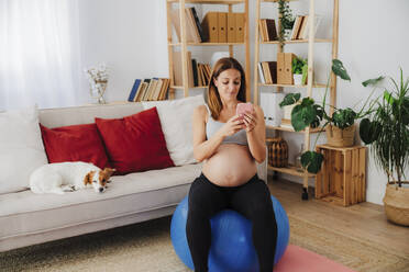 Schwangere Frau mit Smartphone sitzt auf Fitness-Ball in der Nähe von Hund im Wohnzimmer zu Hause - EBBF08543
