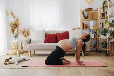 Pregnant woman kneeling with bending backward near dog in living room - EBBF08552